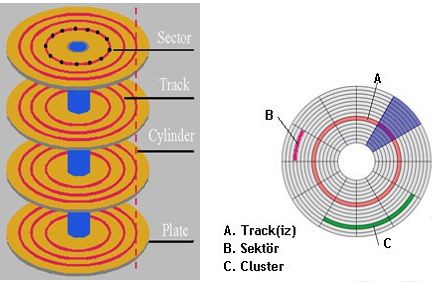 sector