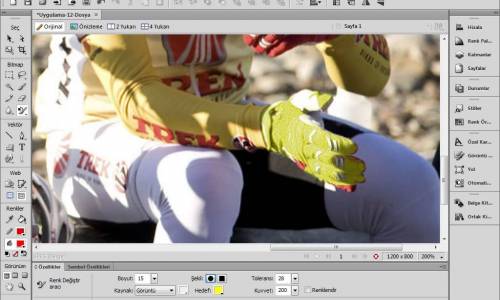 13 Fireworks Bitmap araçları -5 Renk Değiştir aracı