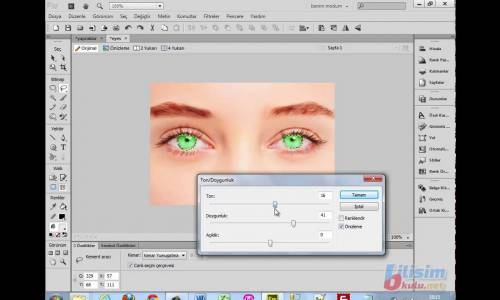 18 FW Bitmap araçları  9 Soldurma ve Yakma aracı