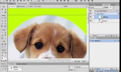 5 FW Bitmap araçları 1  seçim,oval seçim