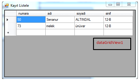 c# ta access veritabanından bilgi çekme